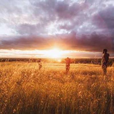 Glass Storage Containers