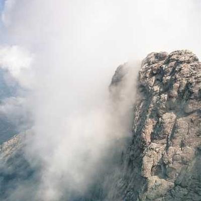 Gold Ornament Collection